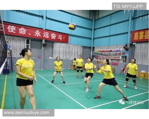 杭州排球队精英赛心理素质分析与表现评估